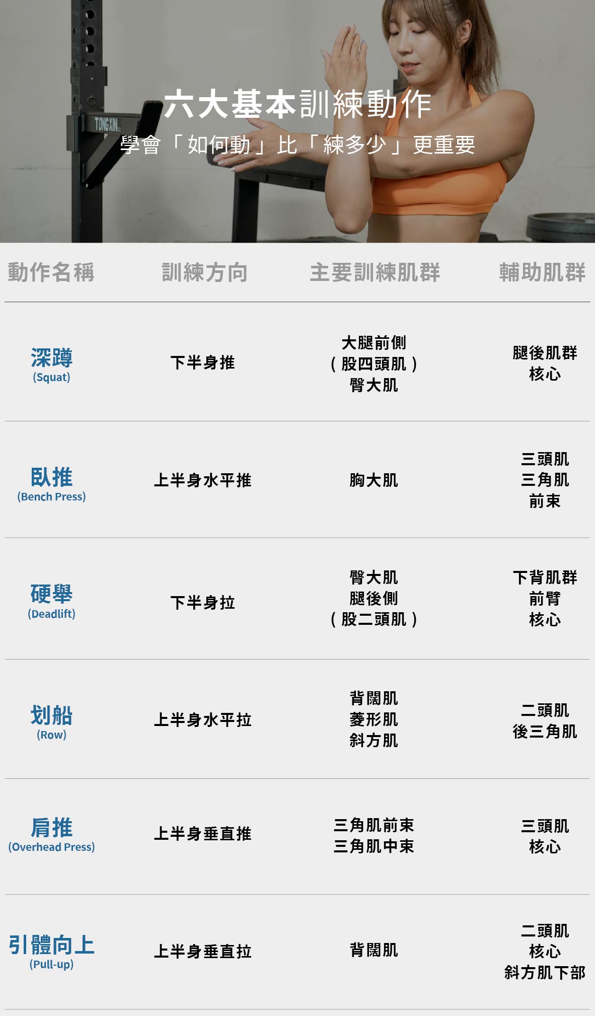 重訓新手入門指南貼文 SEO圖表_工作區域 1.jpg