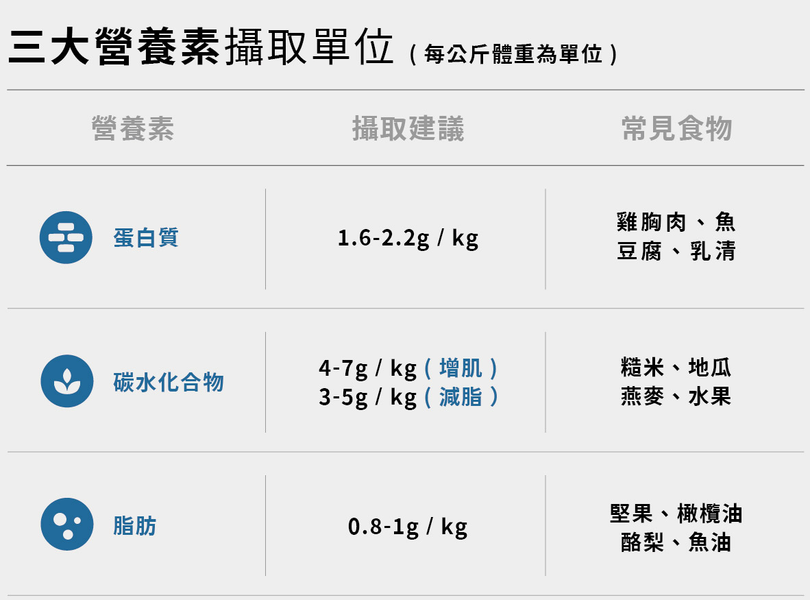 20250807 重訓怎麼吃才有效貼文SEO圖表_工作區域 1 複本 3.jpg